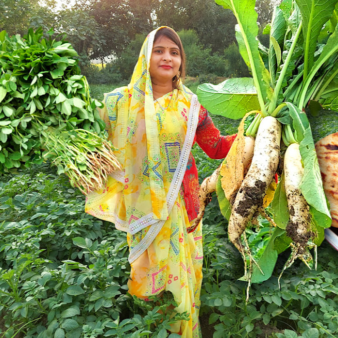 ANISHKA KA KITCHEN Net Worth & Earnings (2025)