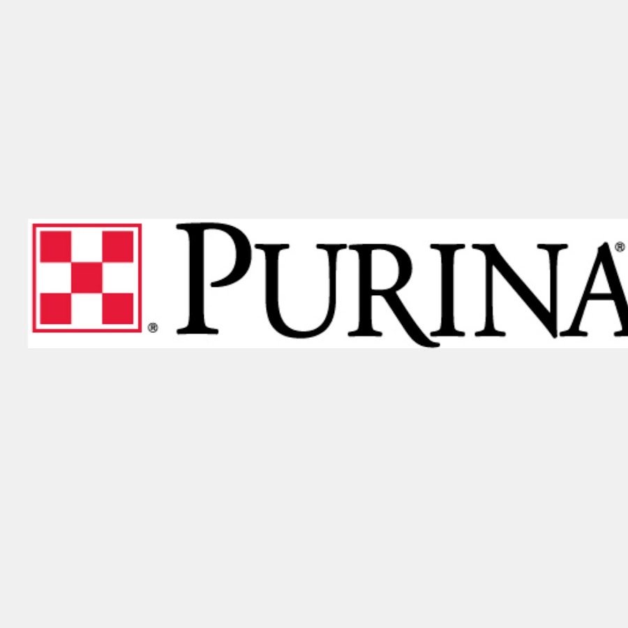 Purinamillstv Youtube