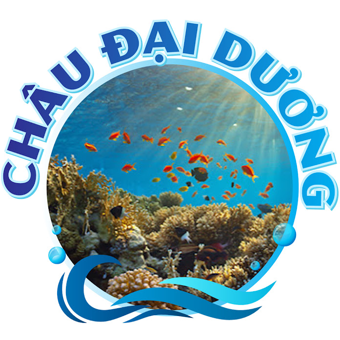 ẨM THỰC ĐẠI DƯƠNG Net Worth & Earnings (2026)