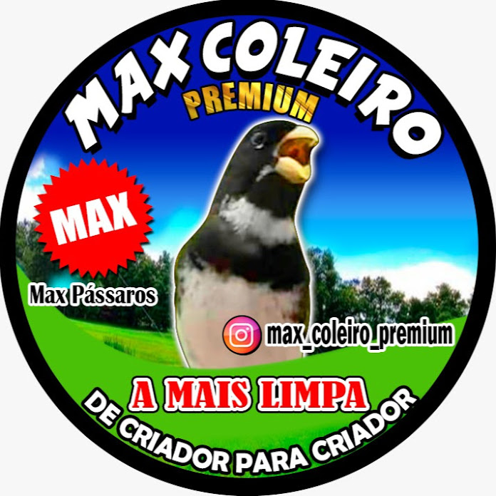 O Passarinheiro Canto e Fibra Net Worth & Earnings (2026)