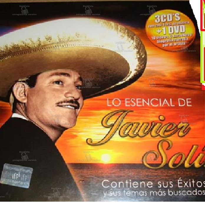 javierista solis Net Worth & Earnings (2026)