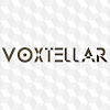 What could Voxtellar buy with $100 thousand?