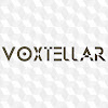 What could Voxtellar buy with $100 thousand?