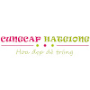 What could Hạt Giống Hoa - Shop Hạt Giống Hoa Bình Thạnh HCM buy with $100 thousand?