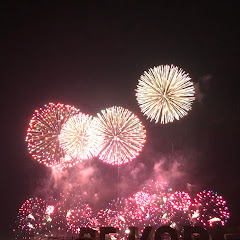 さささささ