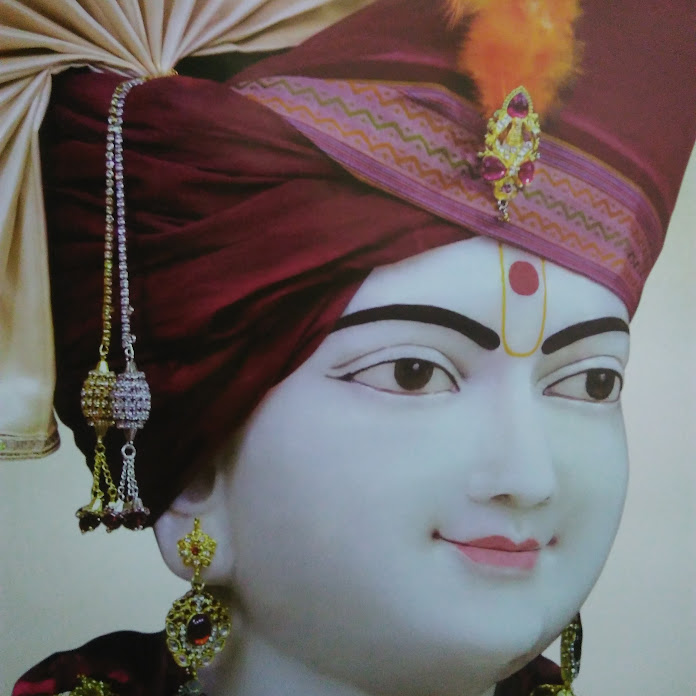 Shreeji food Net Worth & Earnings (2026)