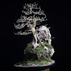 What could Carving Bonsai buy with $100 thousand?