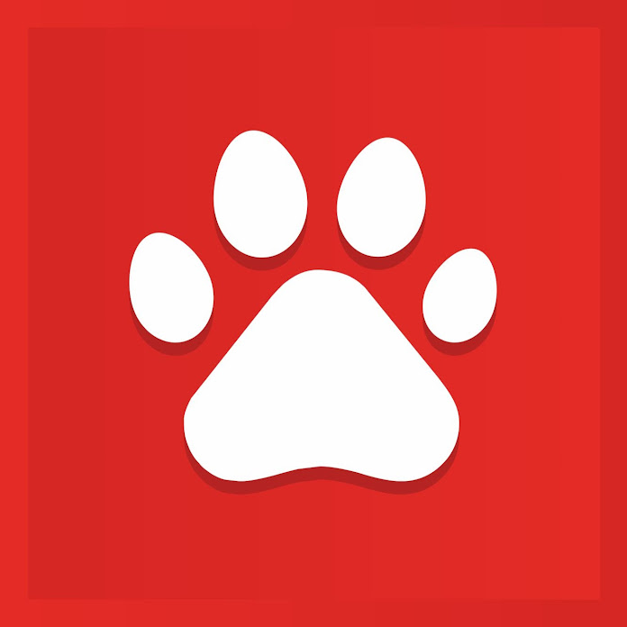 КОТЫ ЮТУБЕРЫ Net Worth & Earnings (2026)