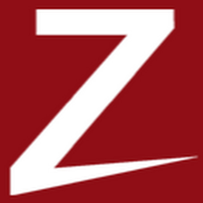 Zococity Net Worth & Earnings (2024)