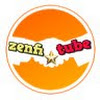 What could zenfi tube buy with $100 thousand?