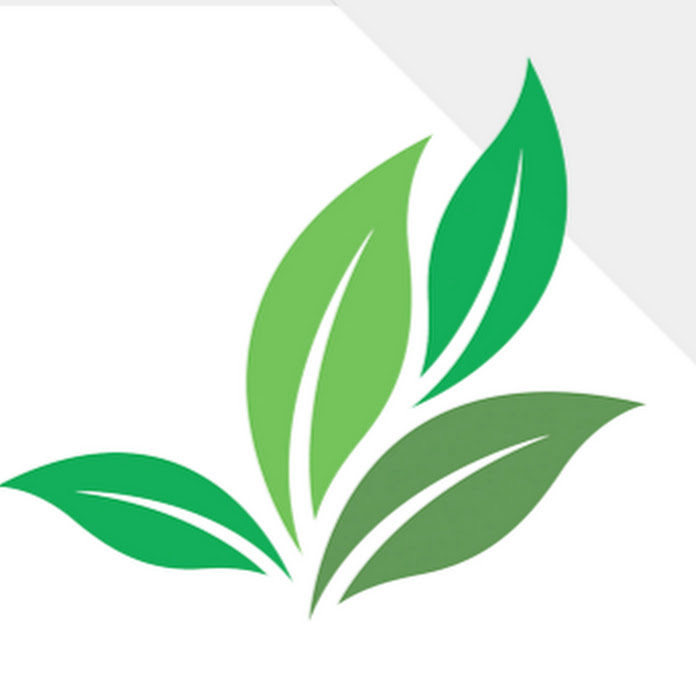 Cura Natureza HD Net Worth & Earnings (2026)