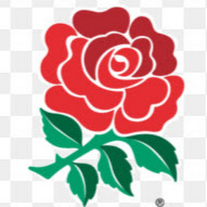 ROBERTO BRUGMANN PAGINA OFICIAL Net Worth & Earnings (2026)