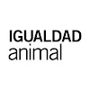 What could Igualdad Animal buy with $100 thousand?