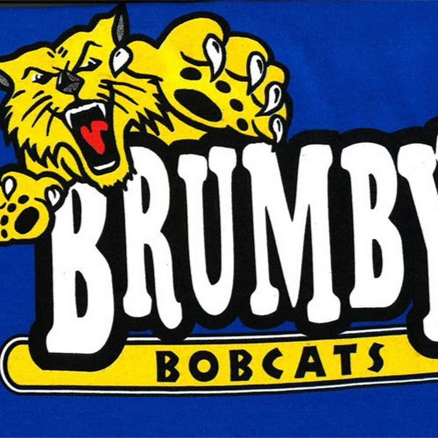 Brumby Elementary YouTube