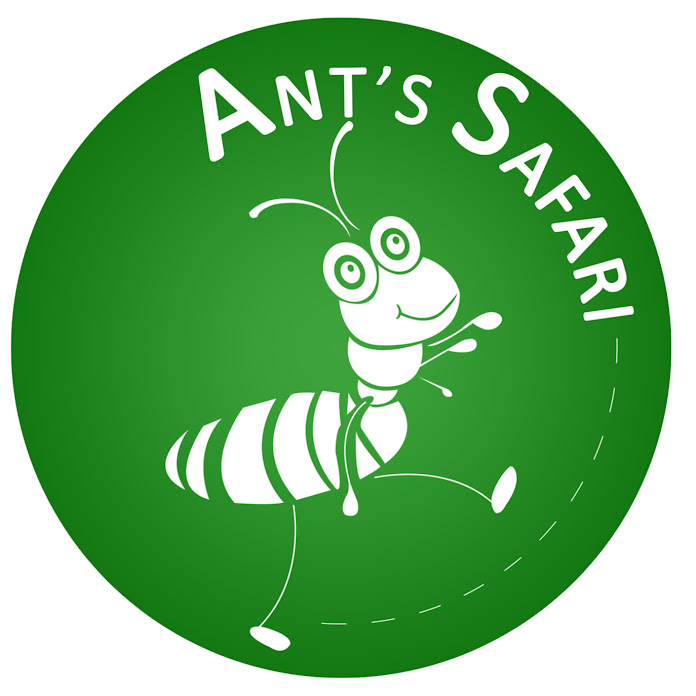 AnT's SaFAri SaFAri Net Worth & Earnings (2026)