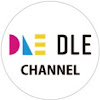 What could DLE Channel buy with $224.84 thousand?
