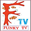 What could FUNKY TV buy with $216.4 thousand?