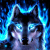 Tagir_Wolf