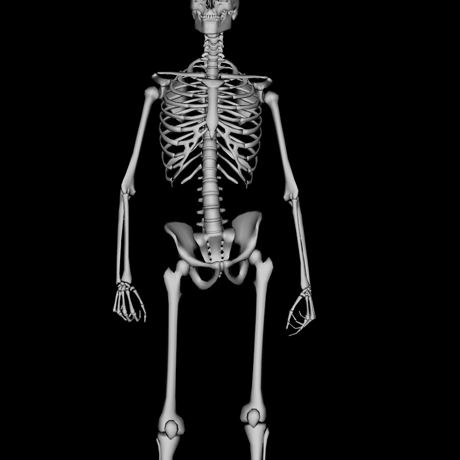 Teaching MSK Radiology YouTube