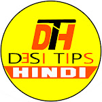 Desi Tips hindi Net Worth