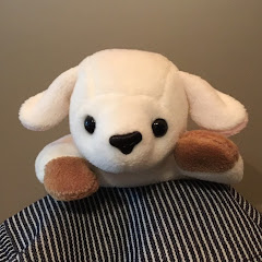 Hitsu Chan