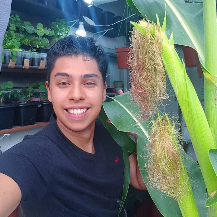 Isaac horta em apartamento Net Worth & Earnings (2025)