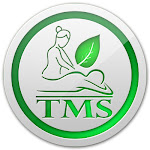 Thai Massage Services Net Worth