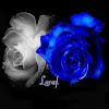 Lareyl