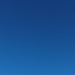ゆっくりくちばし