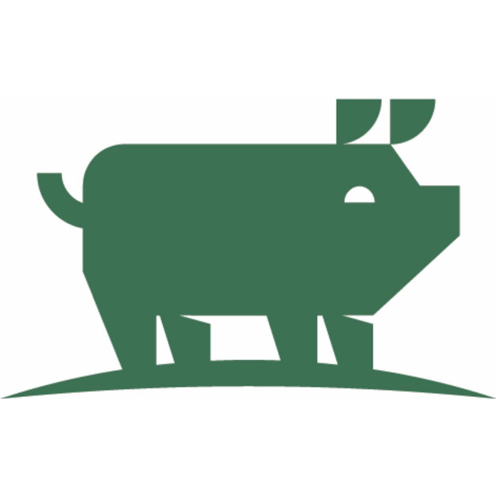 Bocholter Landschwein Net Worth & Earnings (2026)