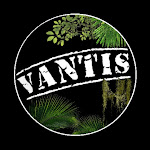 Vantis Terra Net Worth