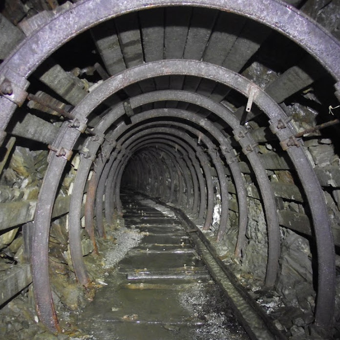 Wyprawy LEONA Net Worth & Earnings (2026)