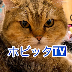 ホビッタTV