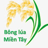 What could Bông lúa Miền Tây buy with $100 thousand?