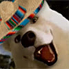 HSSpacewizard