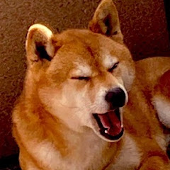 ダース・ベイダーkoushi