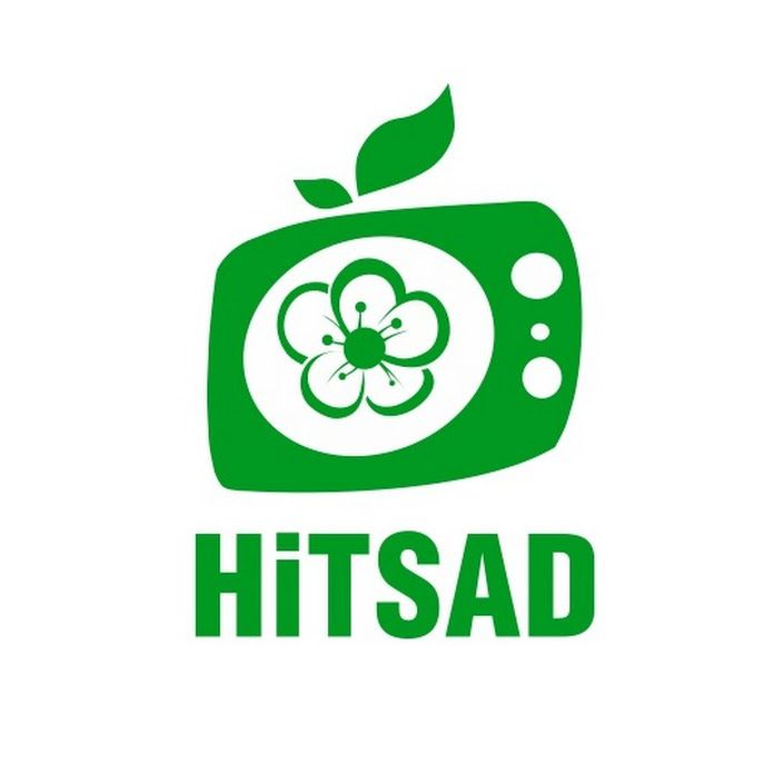 HitSadTV Net Worth & Earnings (2023)