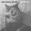 OWL BRAIN ATLAS