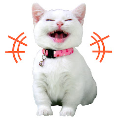 短足だっていいじゃん