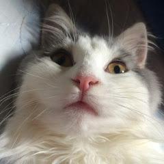 メイメイ