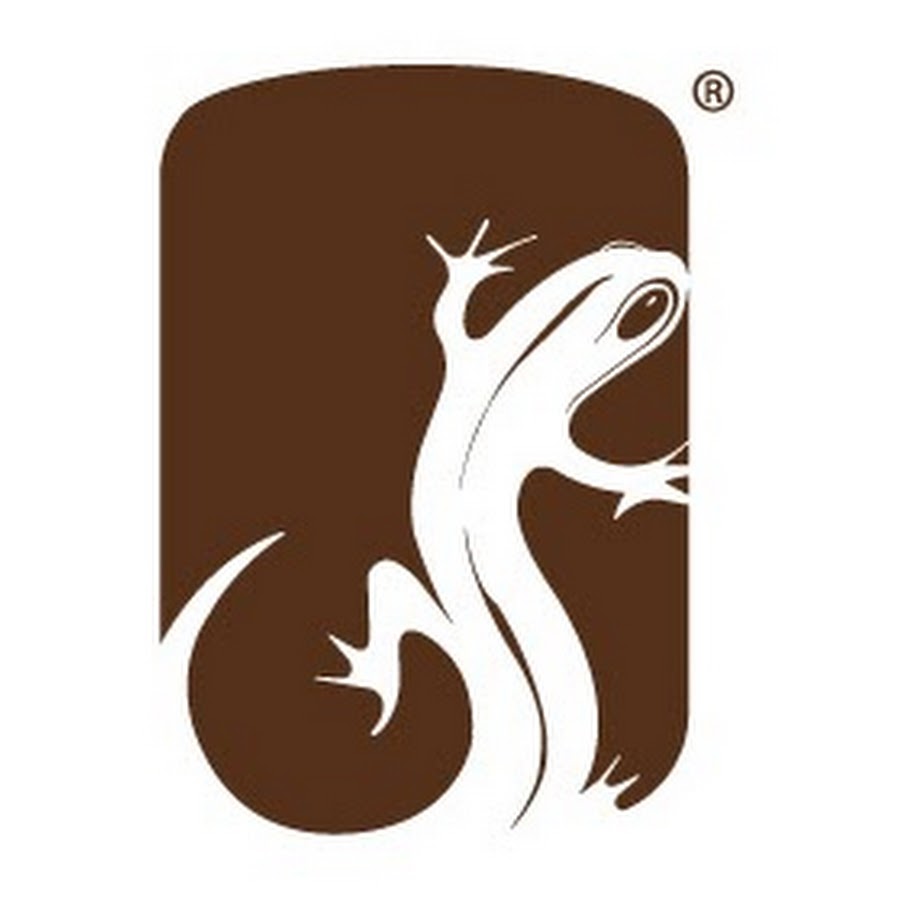 Salamander Designs - YouTube