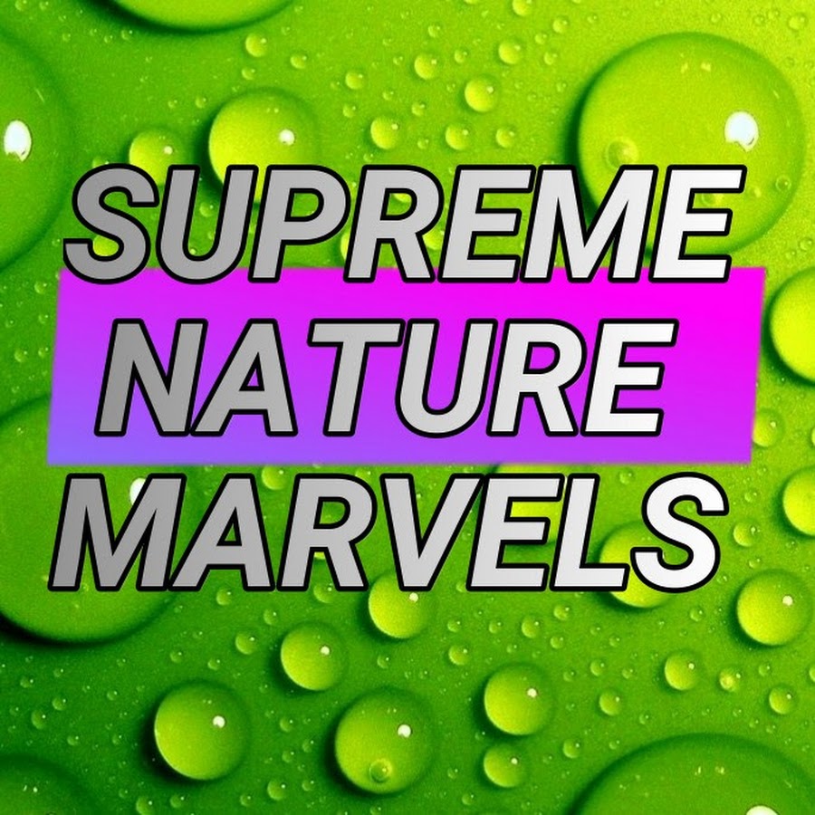 Porn video gay self-reclining