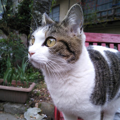 dacha
