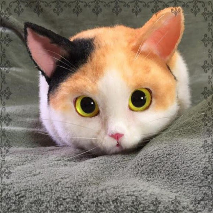 Happy Cats Net Worth & Earnings (2026)