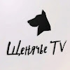 Щенячье TV !!!
