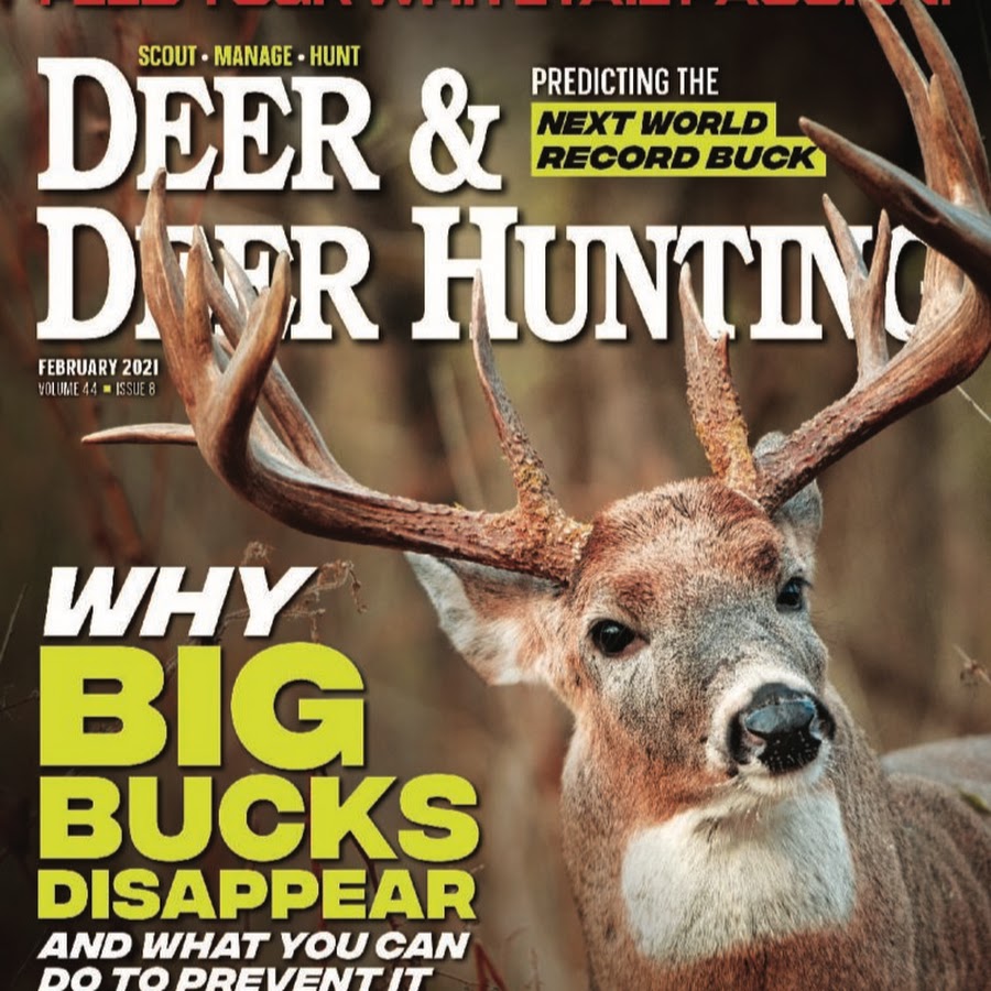 Deer Hunting YouTube