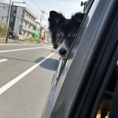「垢バンされた」裸の王子!!