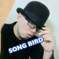 SONG BIRD