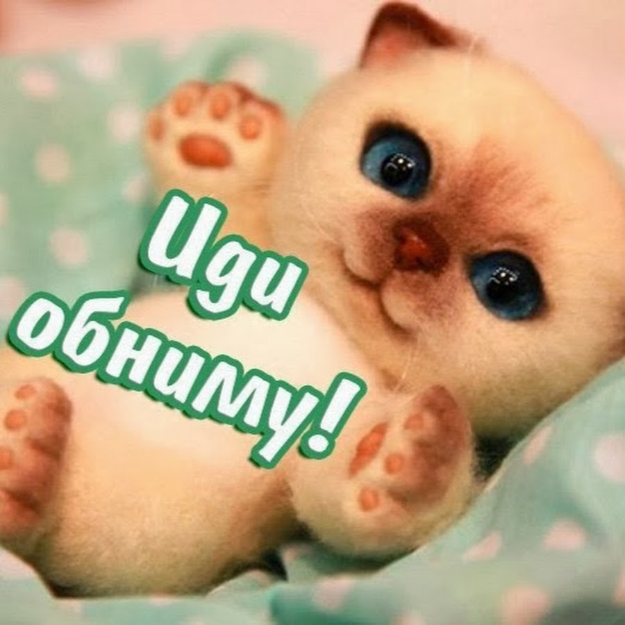 AN66SAxLVZdBsDd42BpwZIGwF_Tvk-_3-VDnoP8bEg=s900-mo-c-c0xffffffff-rj-k-no