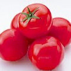 夜のガードマンチャンネル